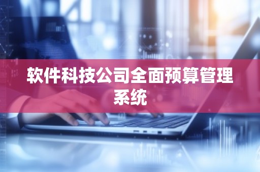 软件科技公司全面预算管理系统