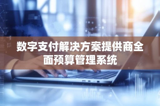 数字支付解决方案提供商全面预算管理系统