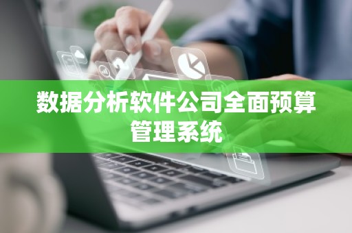 数据分析软件公司全面预算管理系统