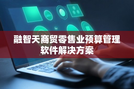 融智天商贸零售业预算管理软件解决方案