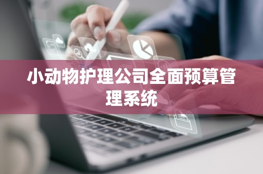 小动物护理公司全面预算管理系统