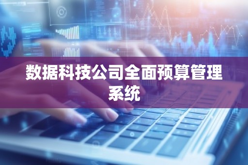 数据科技公司全面预算管理系统