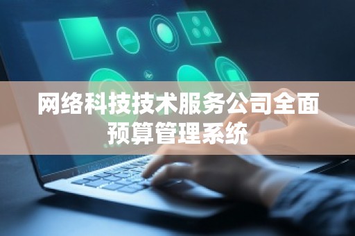 网络科技技术服务公司全面预算管理系统