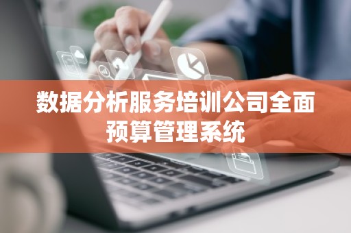 数据分析服务培训公司全面预算管理系统