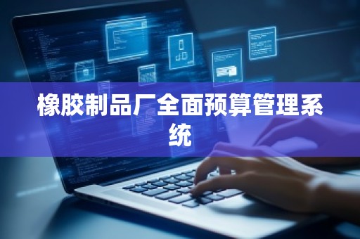 橡胶制品厂全面预算管理系统