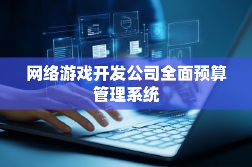 网络游戏开发公司全面预算管理系统