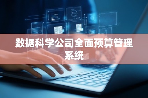 数据科学公司全面预算管理系统