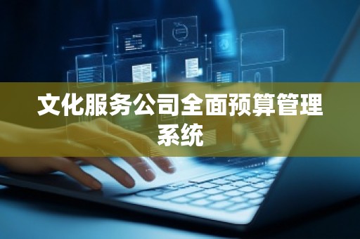 文化服务公司全面预算管理系统