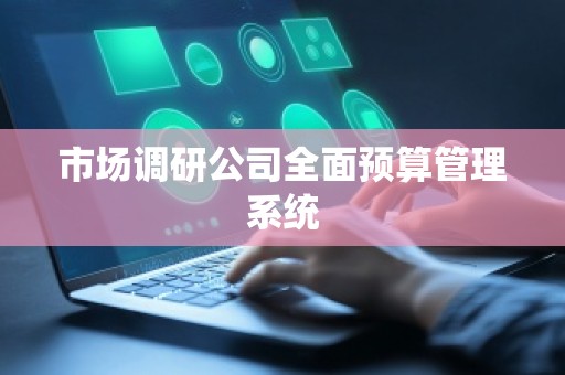 市场调研公司全面预算管理系统