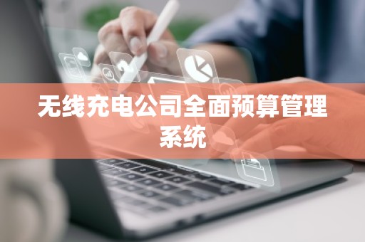无线充电公司全面预算管理系统