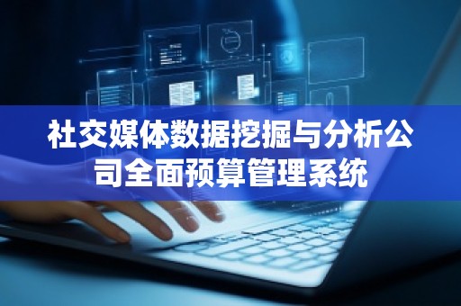 社交媒体数据挖掘与分析公司全面预算管理系统