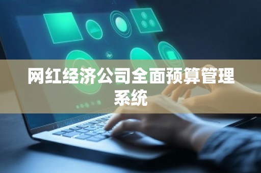 网红经济公司全面预算管理系统
