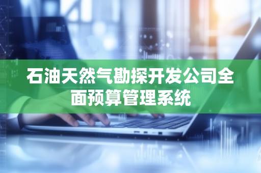 石油天然气勘探开发公司全面预算管理系统
