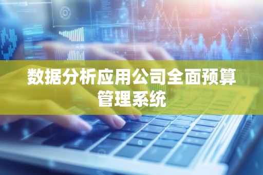 数据分析应用公司全面预算管理系统