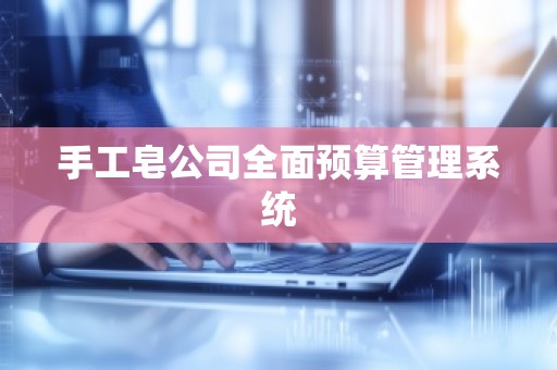 手工皂公司全面预算管理系统