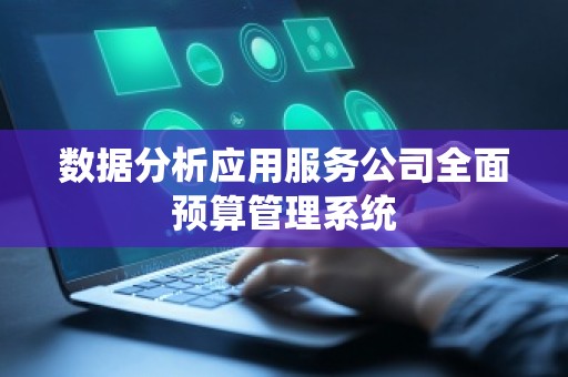 数据分析应用服务公司全面预算管理系统