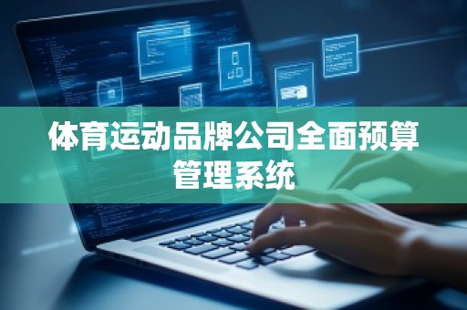 体育运动品牌公司全面预算管理系统