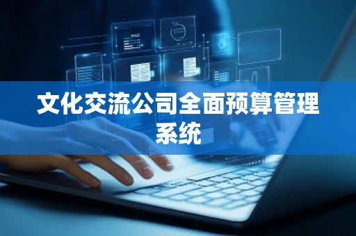 文化交流公司全面预算管理系统