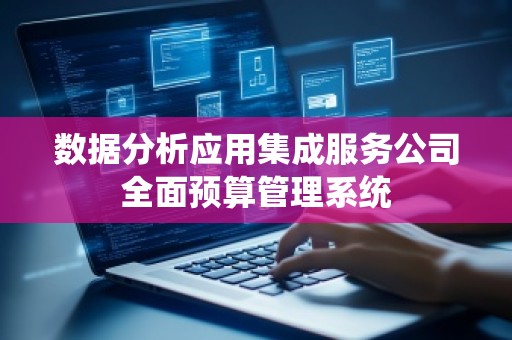数据分析应用集成服务公司全面预算管理系统