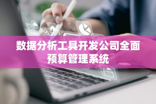 数据分析工具开发公司全面预算管理系统