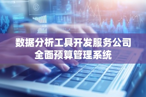 数据分析工具开发服务公司全面预算管理系统