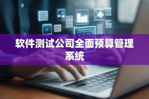 软件测试公司全面预算管理系统