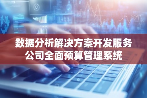 数据分析解决方案开发服务公司全面预算管理系统