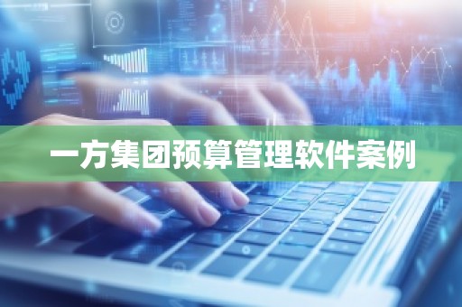 一方集团预算管理软件案例