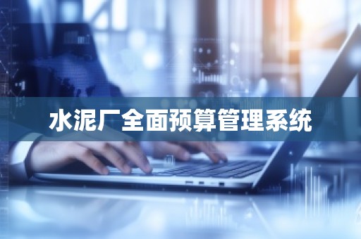水泥厂全面预算管理系统