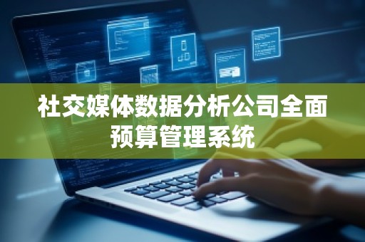 社交媒体数据分析公司全面预算管理系统