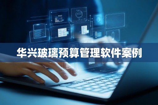 华兴玻璃预算管理软件案例