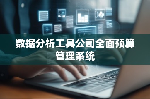 数据分析工具公司全面预算管理系统