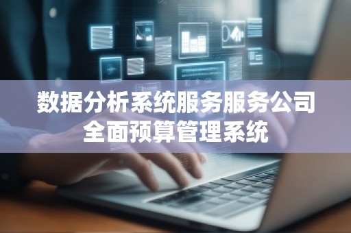 数据分析系统服务服务公司全面预算管理系统