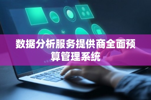 数据分析服务提供商全面预算管理系统