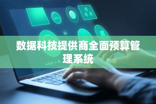 数据科技提供商全面预算管理系统