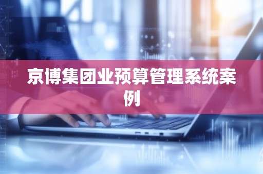 京博集团业预算管理系统案例