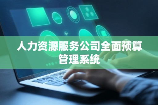 人力资源服务公司全面预算管理系统