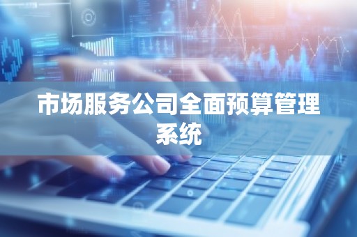 市场服务公司全面预算管理系统