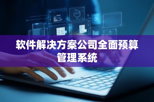 软件解决方案公司全面预算管理系统