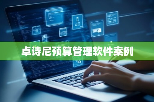 卓诗尼预算管理软件案例