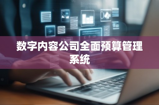 数字内容公司全面预算管理系统