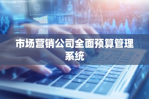 市场营销公司全面预算管理系统