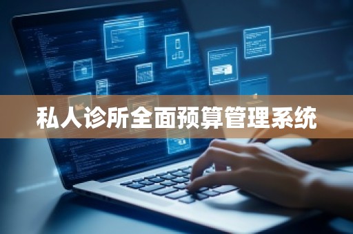 私人诊所全面预算管理系统