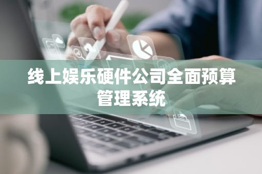 线上娱乐硬件公司全面预算管理系统