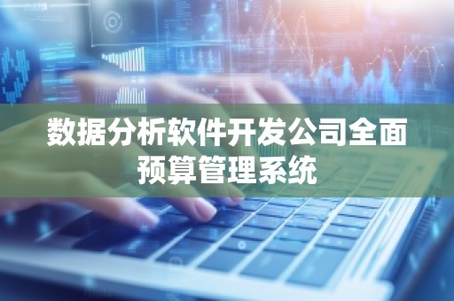 数据分析软件开发公司全面预算管理系统