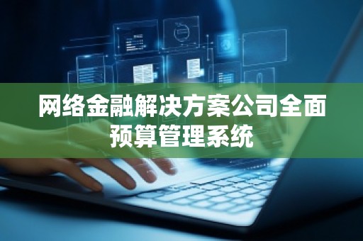 网络金融解决方案公司全面预算管理系统