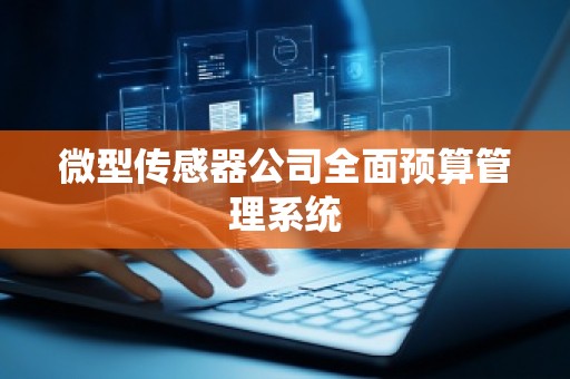 微型传感器公司全面预算管理系统