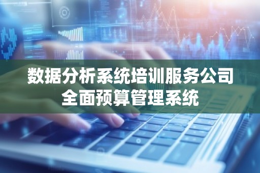 数据分析系统培训服务公司全面预算管理系统