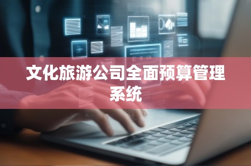 文化旅游公司全面预算管理系统