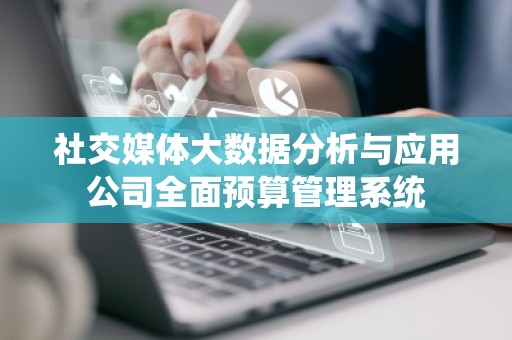 社交媒体大数据分析与应用公司全面预算管理系统